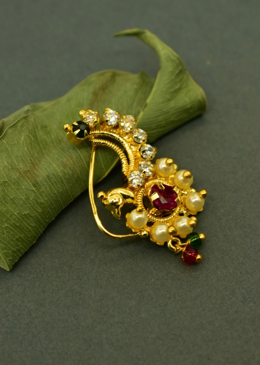 SPLENDID PEACOCK NATH