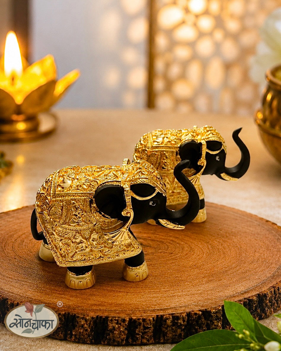BLACK GAJNATLAXMI