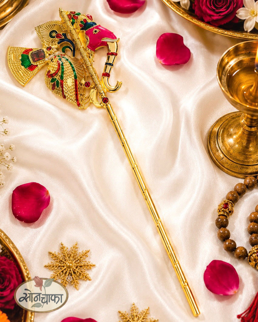 DkGANPATI MORPIS SHASHTR