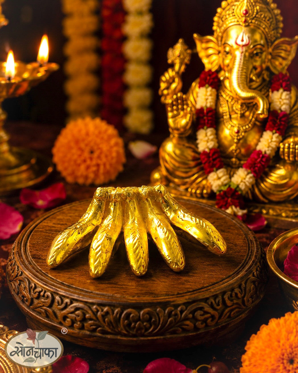 GANPATI KELI FAUNNY